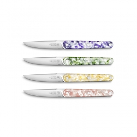 TB - 4 TABLE KNIVES JOSEPH NANOCUT® - ASSORTED