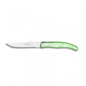 CLAUDE DOZORME STEAK KNIFE GREEN HANDLE 10.5 cm - 1.13.110.82
