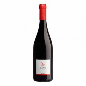 Fleva Syrah 750ml Ερυθρός Ξηρός Οίνος, (2022) Κτήμα Σκούρα