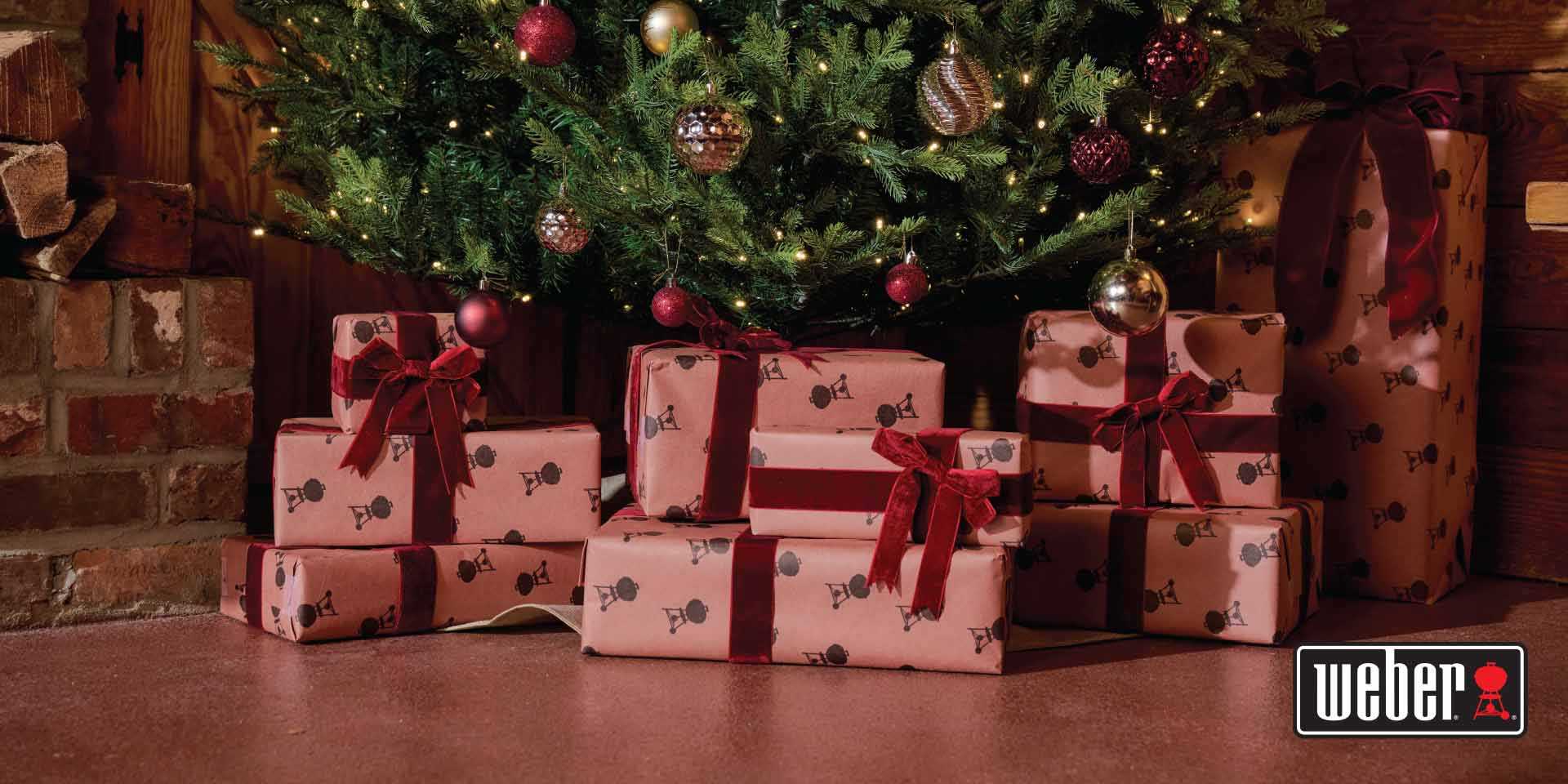 weber ΑΞΕΣΟΥΑΡ bbq